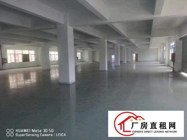  沙井大王山附近，全新地坪漆天花吊顶，随时看房