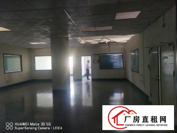  沙井大王山附近，全新地坪漆天花吊顶，随时看房