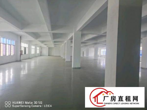  沙井大王山附近，全新地坪漆天花吊顶，随时看房