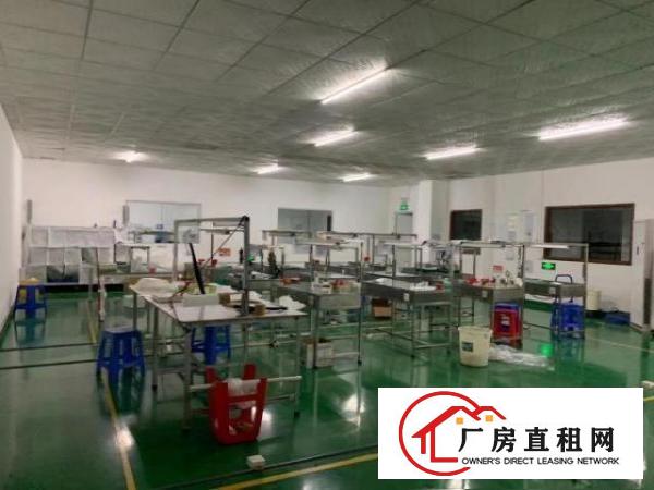  精装修2250平方，带无尘车间，无需转让费