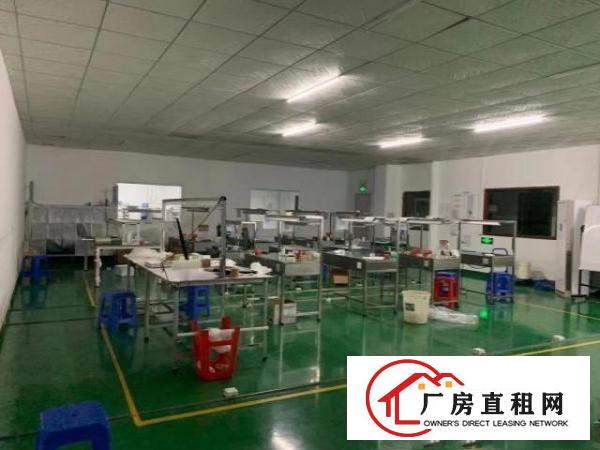  精装修2250平方，带无尘车间，无需转让费