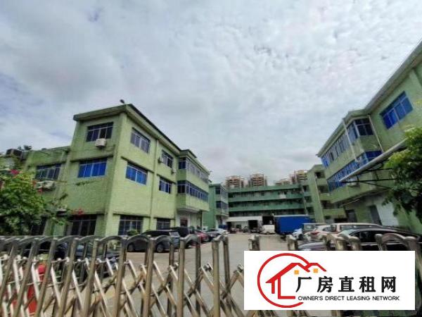  沙井共和工业区厂房出租400平精装修