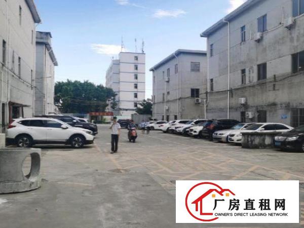  环境好，有多个车位停车，面积足够
