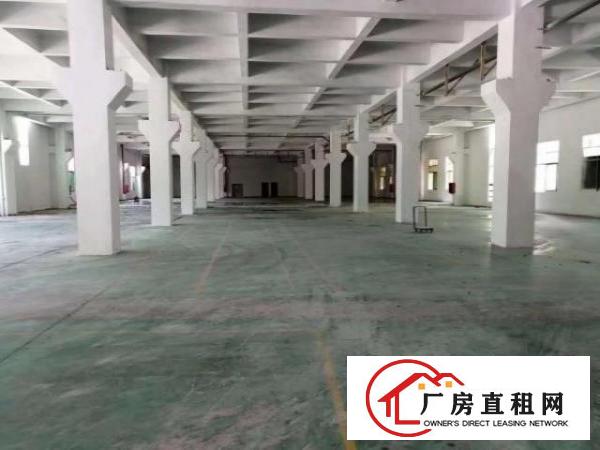  沙井107国道东环路一楼1200平二楼800无公摊原房东