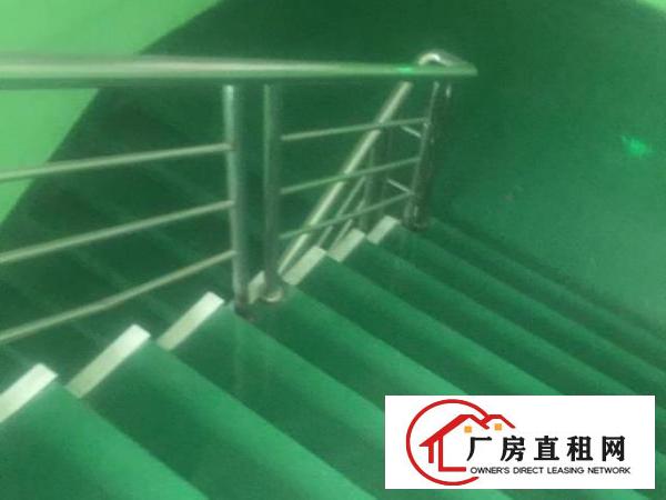  沙井新桥第三工业区独院1至3层3000平大小分租村委直租