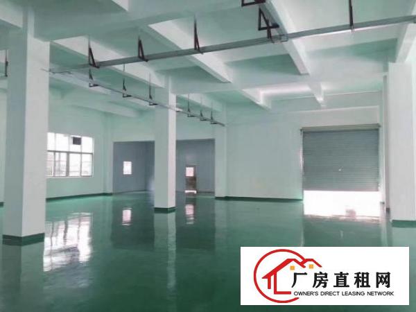  沙井东环路438号3楼200平二楼400平带有办公室水电齐全