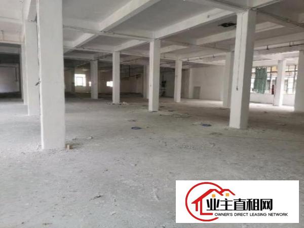  沙井万丰楼上大小分租，已经隔好，价格美丽，两部货梯