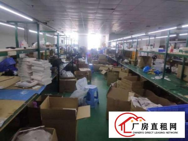  出租带货梯大王山沙井南环路边上精装修厂房300平