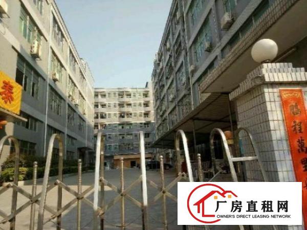  沙井新桥芙蓉一楼2400平米可分1200装修行车厂房出租