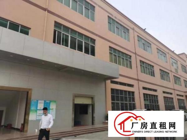  沙井和一新出独院带无尘车间精装修办公室手快有
