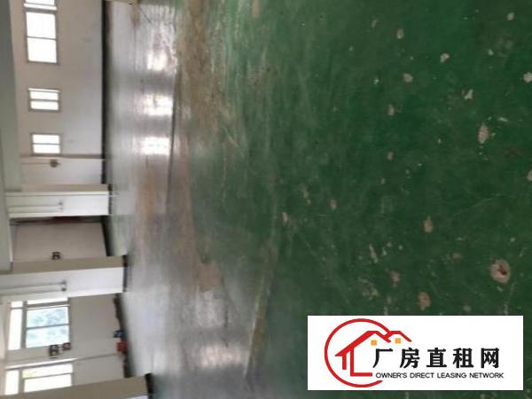  沙井新出楼上330平厂房适合小加工等价格实惠