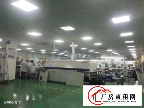  沙井西环路新出二楼2000平米带精装修电子厂招租