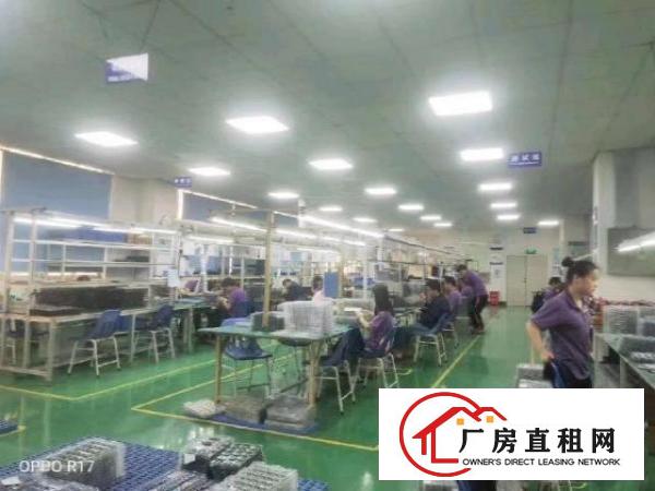  沙井西环路新出二楼2000平米带精装修电子厂招租