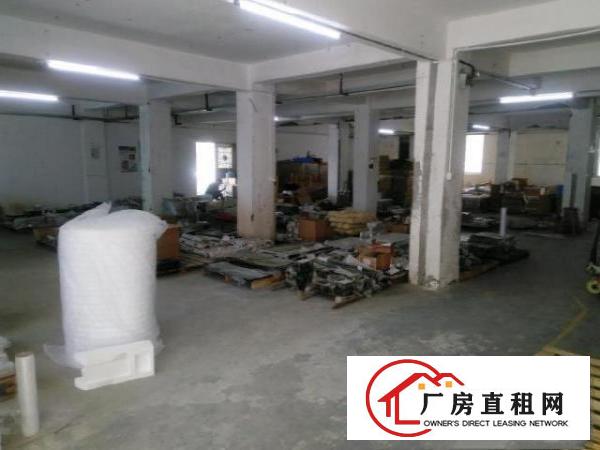  沙井西环路南环路大王山塘尾1楼450平带装修厂房出租