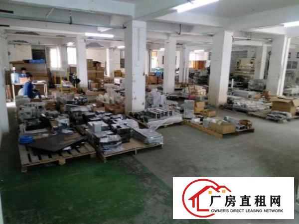  沙井西环路南环路大王山塘尾1楼450平带装修厂房出租