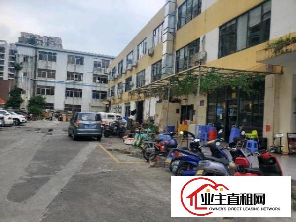  新沙路万丰小学旁厂房写字楼200平精装修