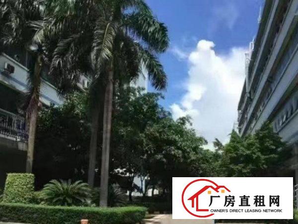  沙井沙一华丰国际智造城大型园区