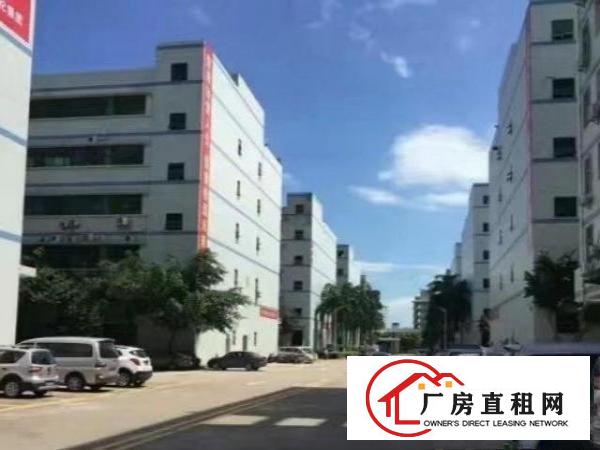  沙井沙一华丰国际智造城大型园区