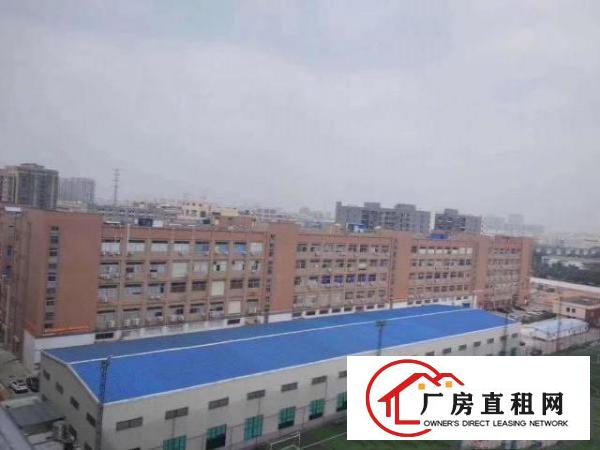  沙井沙一华丰国际智造城大型园区