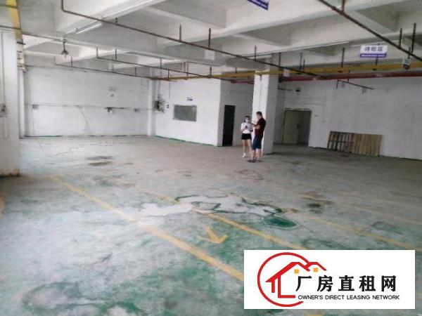  沙井西环路南环路京基百纳2楼360平带装修无尘车间厂房出租