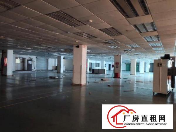  沙井沙三松福大道边上。园区形象好，空地大，一手房东