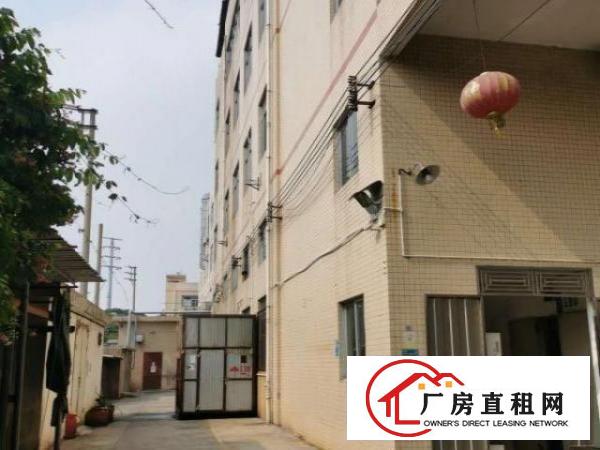  合同四年，独门独院，宿舍按需