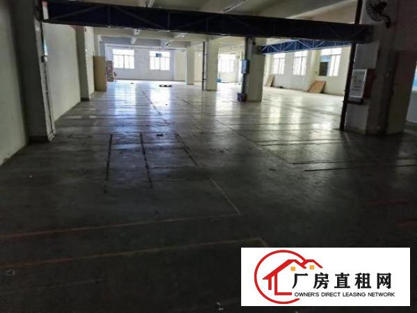  合同四年，独门独院，宿舍按需