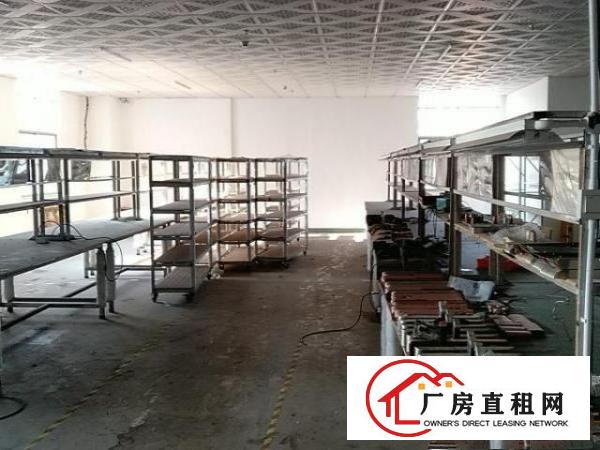  沙井新桥新发工业区红本原房东1300平米厂房出租带装修