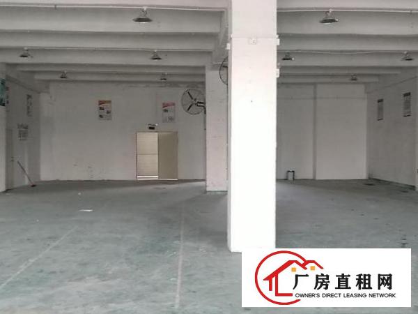 沙井新桥新发700平带前台办公室地坪漆厂房出租