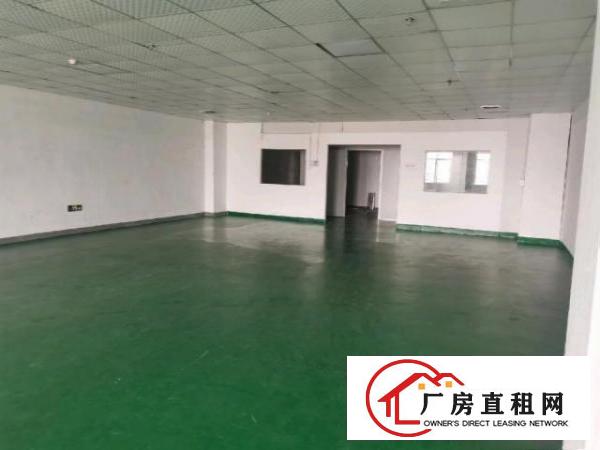  沙井南环路精装修200平出租可分