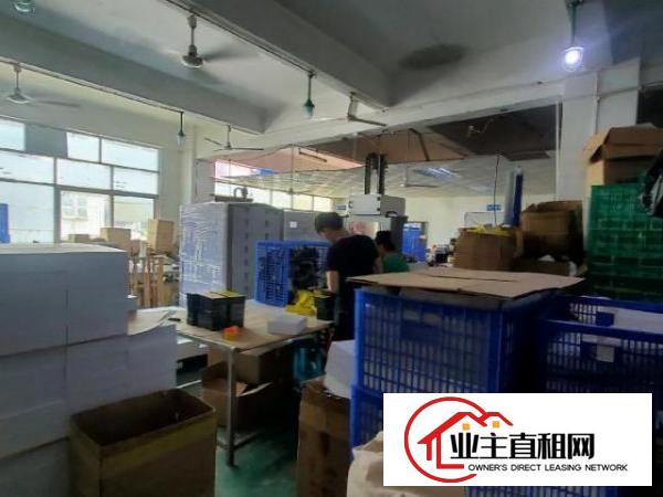  新二工业区靠客运站960平精装厂房出租