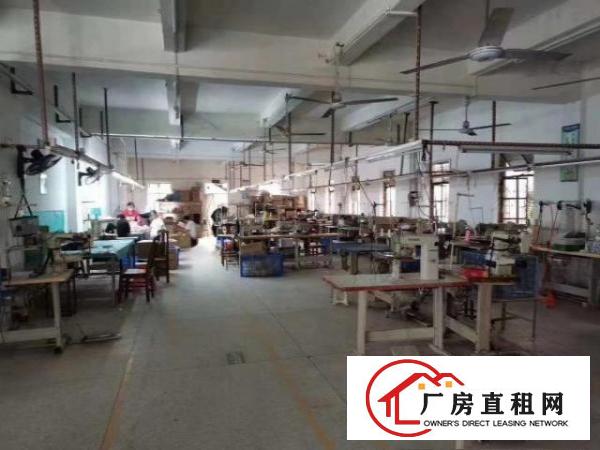  新桥三区新桥小学一楼400平厂房出租