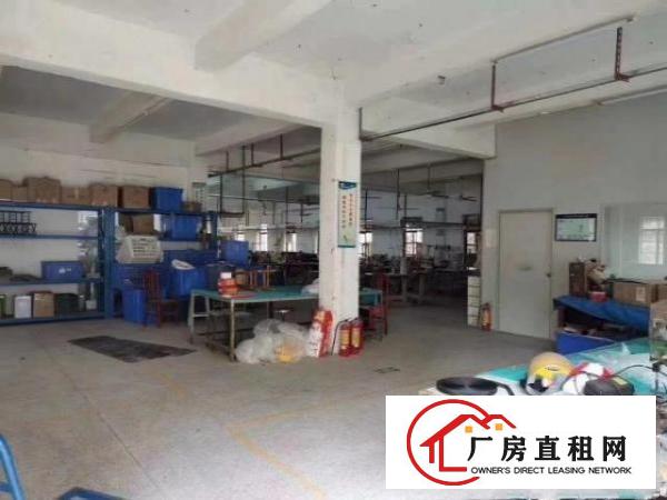  新桥三区新桥小学一楼400平厂房出租