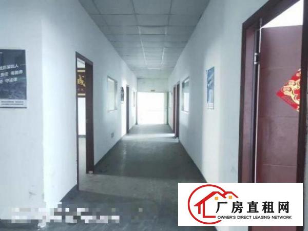  沙井东环路精装修1230平厂房出租