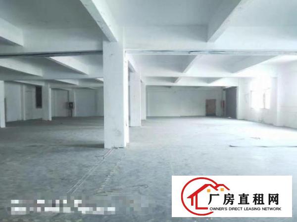  沙井东环路精装修1230平厂房出租