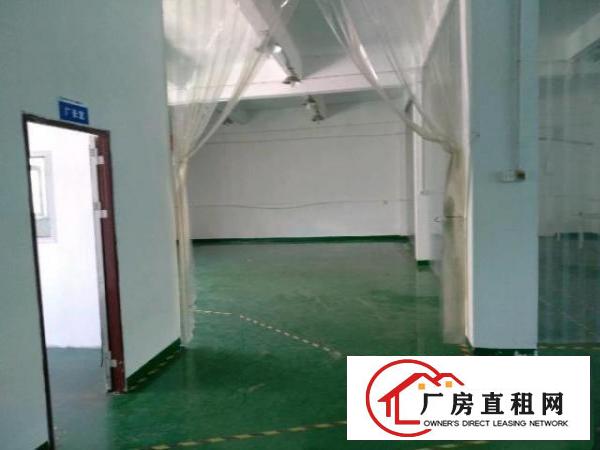  沙井新桥上寮工业路350平精装修厂房出租