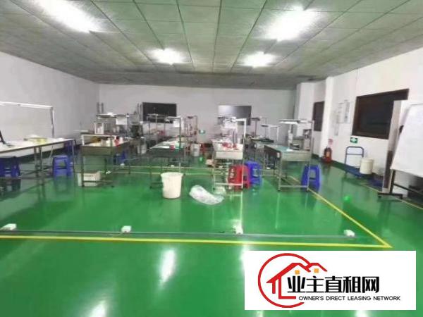 沙井沙一工业区豪华装修1400平米电子厂房出租