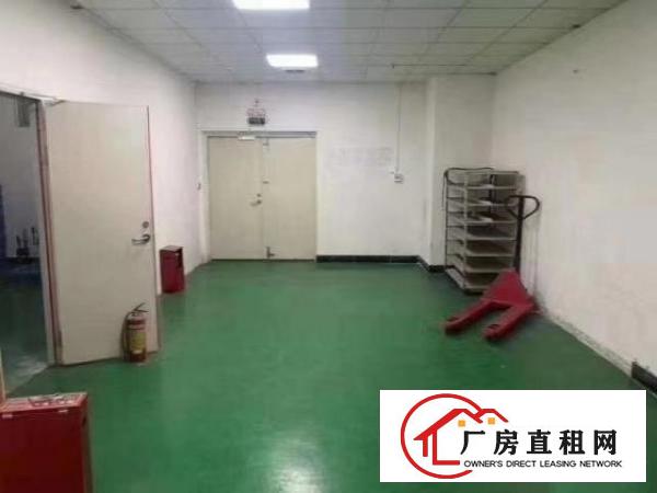 沙井沙三豪华装修450平米厂房和办公室出租