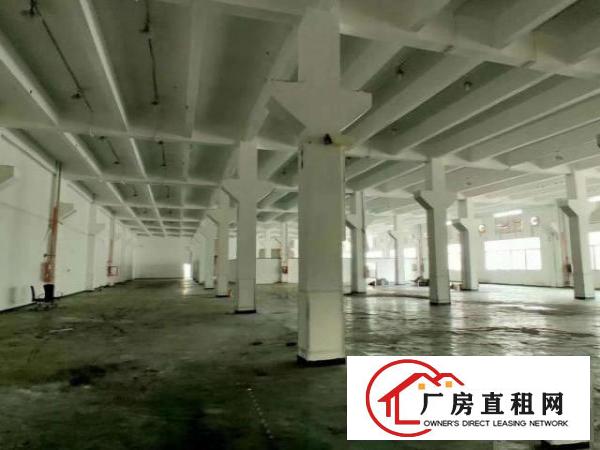  沙井民主村委1楼2300平米高6.5米带办公室水电厂房出租