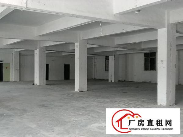  沙井新桥东环路旁1250平米SMT精装修厂房出租
