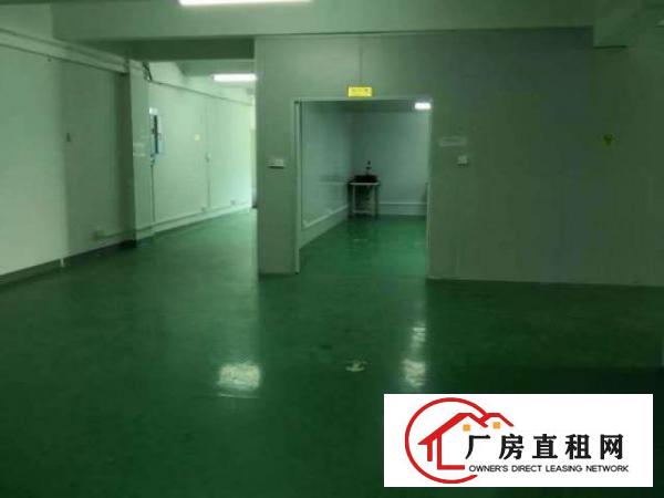  新桥高速路口107国道边新出2楼1000平无尘车间免装修费