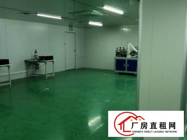  新桥高速路口107国道边新出2楼1000平无尘车间免装修费