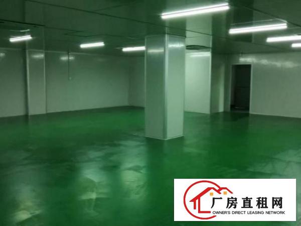 新桥高速路口107国道边新出2楼1000平无尘车间免装修费