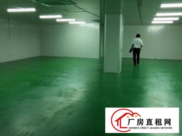  新桥高速路口107国道边新出2楼1000平无尘车间免装修费