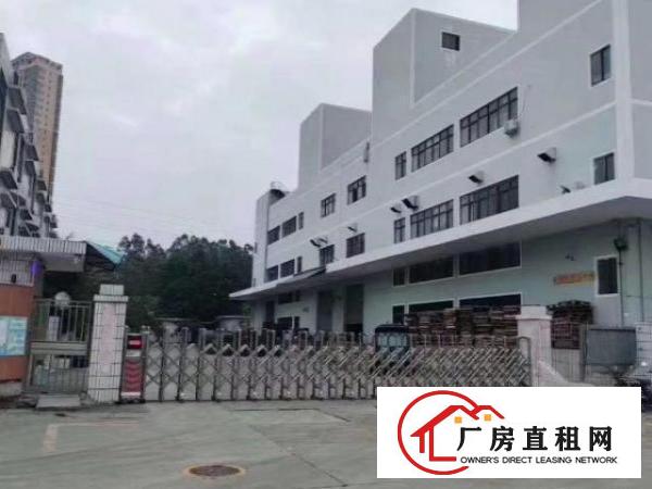  沙井黄埔村委无公摊11000平独院厂房出租