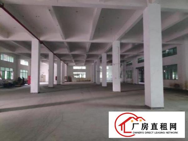  新桥高速口红本独栋厂房出租可分租，合同3-5年。