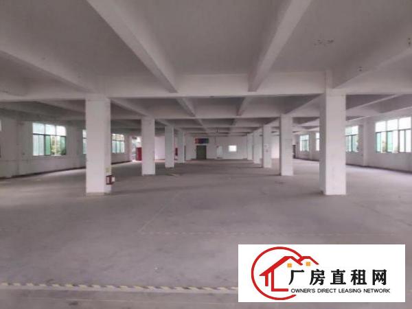  新桥高速口红本独栋厂房出租可分租，合同3-5年。