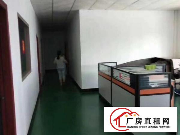  房东直租沙井和一楼上1100平标准重工业厂房招租