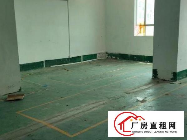  厂房位于沙井大王山，西环路边上，楼上150平，租金便宜。