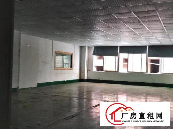  厂房位于沙井马鞍山地铁口附近，带装修，吊好顶全新地坪机